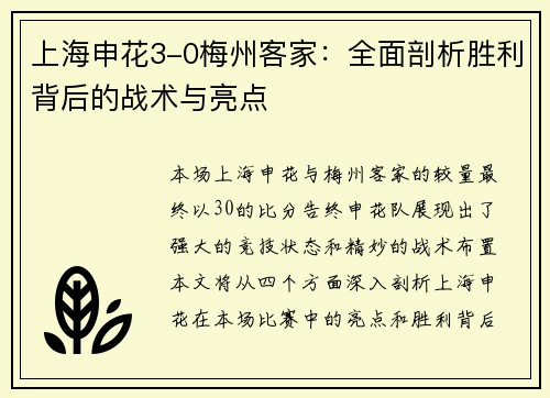 上海申花3-0梅州客家：全面剖析胜利背后的战术与亮点