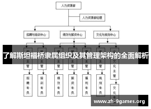 了解斯坦福桥隶属组织及其管理架构的全面解析