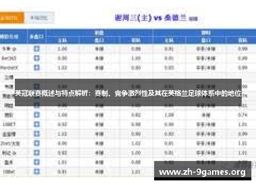 英冠联赛概述与特点解析：赛制、竞争激烈性及其在英格兰足球体系中的地位